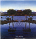 Bruce Dickinson - Skunkworks (Vinyl) (US Import)