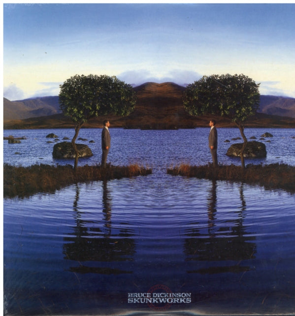 Bruce Dickinson - Skunkworks (Vinyl) (US Import)