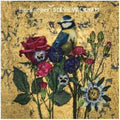 Steve Wickham - Beekeeper (Vinyl) (US Import)