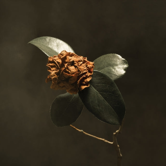 ST. Paul & The Broken Bones - Young Sick Camellia (CD)