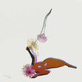 Future Islands - Far Field (CD)