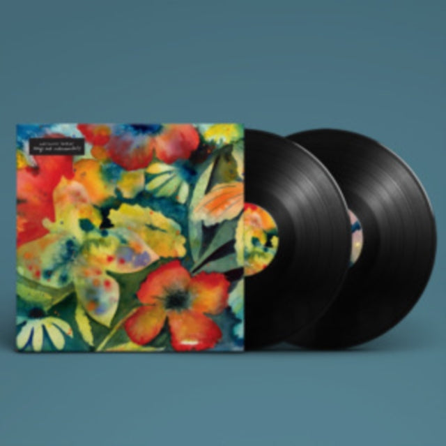Adrianne Lenker - Songs & Instrumentals (Vinyl) (US Import)