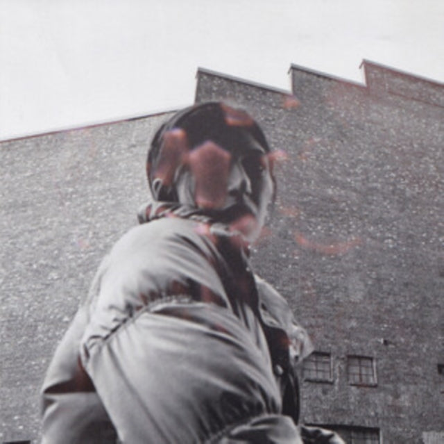 Aldous Harding - Warm Chris (Vinyl) (US Import)