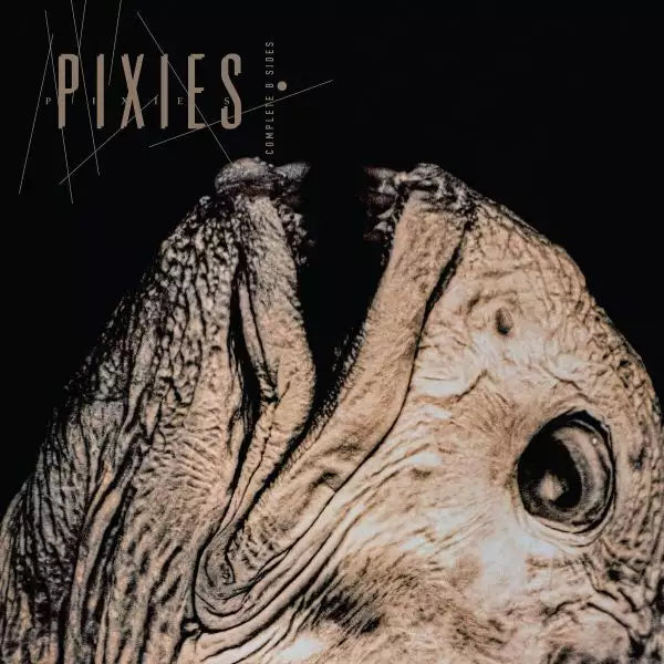 Pixies - Complete B Sides: 1988-97 (Clear Vinyl/2LP) (I) (Vinyl) (US Import)