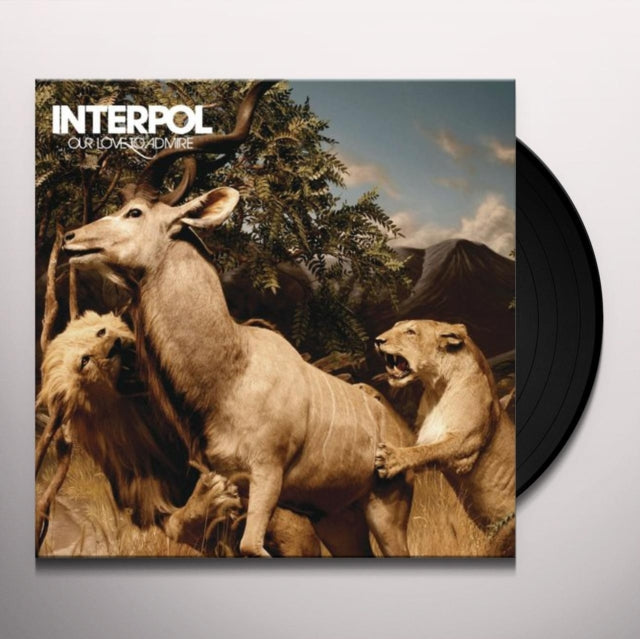 Interpol - Our Love To Admire (2LP) (Vinyl) (US Import)