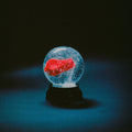 Darkside - Nothing (Vinyl) (US Import)