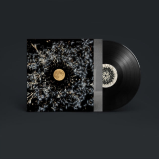Lisa O'Neill - All Of This Is Chance (Vinyl) (US Import)