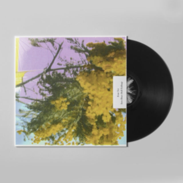 Four Tet - Into Dust (Still Falling) (EP) (I) (Vinyl) (US Import)
