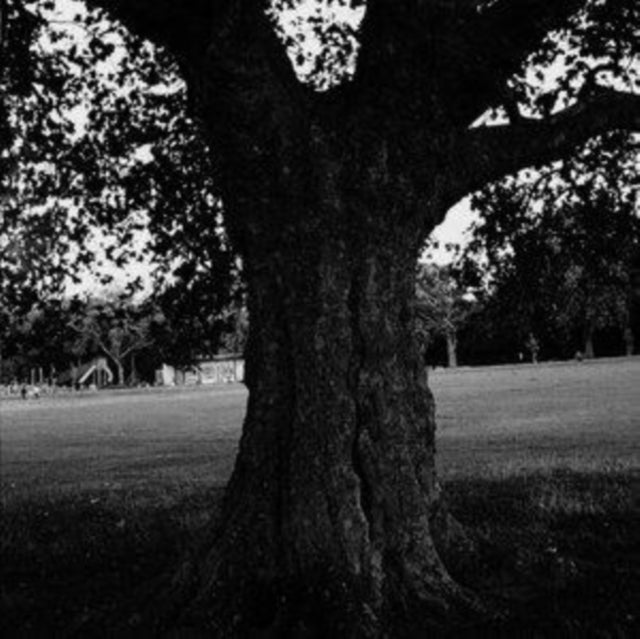 Archy Marshall - New Place 2 Drown (Instrumentals) (Vinyl) (US Import)
