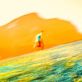 Manu Dia - Often Inside (Orange Vinyl) (Vinyl) (US Import)