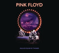 Pink Floyd - Delicate Sound Of Thunder (2CD) (CD)