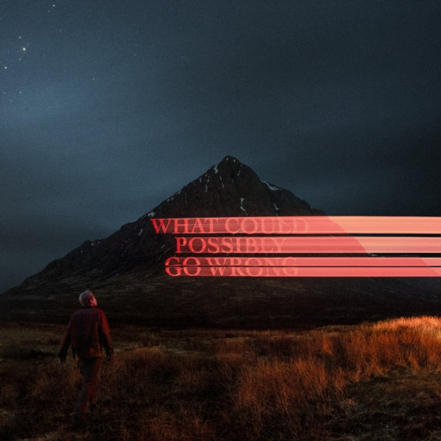 Dominic Fike - What Could Possibly Go Wrong (X) (140g/Poster) (Vinyl) (US Import)