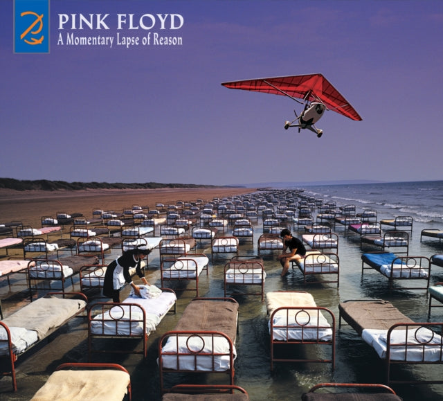 Pink Floyd - Momentary Lapse Of Reason (Remixed & Updated) (CD)