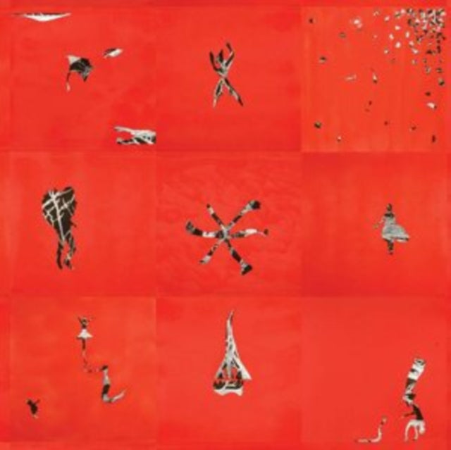 Animal Collective - Hollinndagain (Vinyl) (US Import)