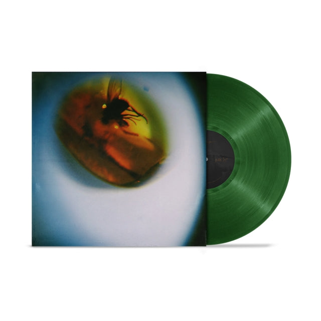 April + Vista - Traditional Noise (Translucent Fly Green Vinyl) (Vinyl) (US Import)