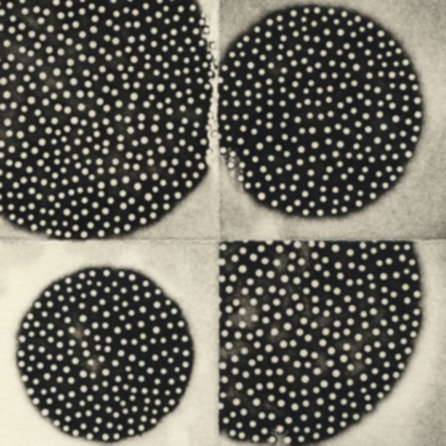K. Leimer - Resting Forms (CD)