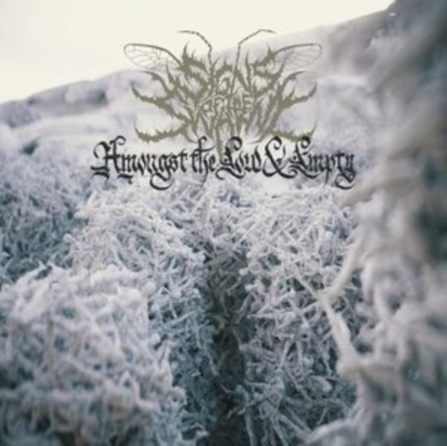 Signs Of The Swarm - Amongst The Low & Empty (Gatefold Aqua Vinyl) (Vinyl) (US Import)