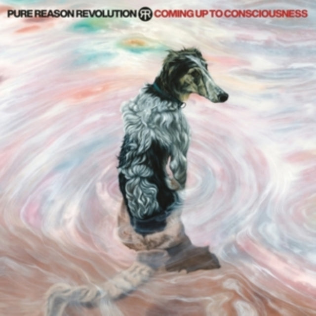 Pure Reason Revolution - Coming Up To Consciousness (Vinyl) (US Import)