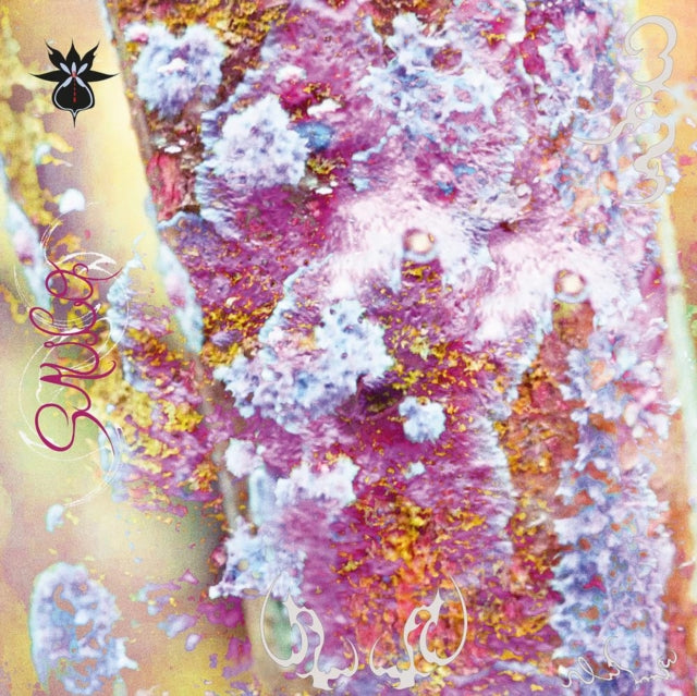 Qoa - Sauco (Vinyl) (US Import)