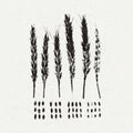 Lo! - Gleaners (CD)
