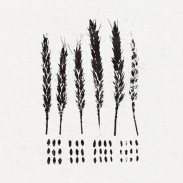 Lo! - Gleaners (CD)