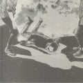 Local Natives - Hummingbird (10th Anniversary) (Vinyl) (US Import)
