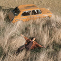 Lawrence Rothman - Plow That Broke The Plains (Vinyl) (US Import)