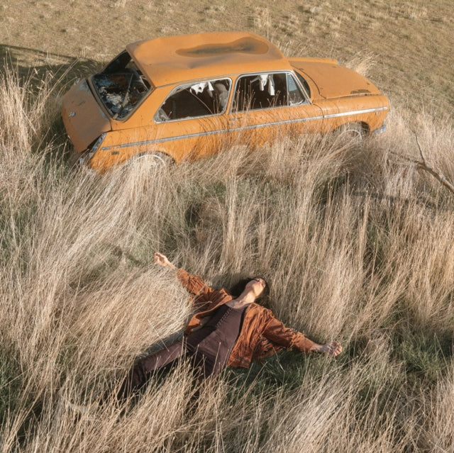 Lawrence Rothman - Plow That Broke The Plains (Vinyl) (US Import)