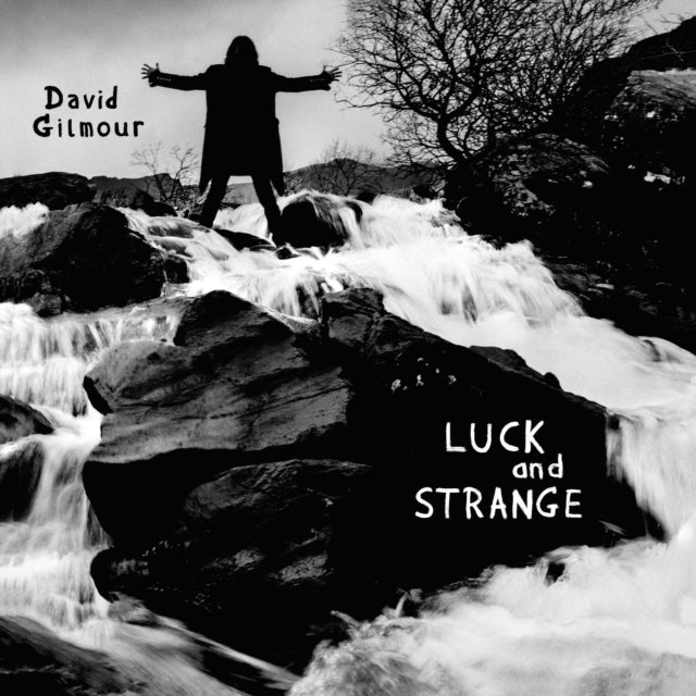 David Gilmour - Luck & Strange (Vinyl) (US Import)