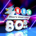 Various Artists - Now Thats What I Call The 80S (CD) (US Import)
