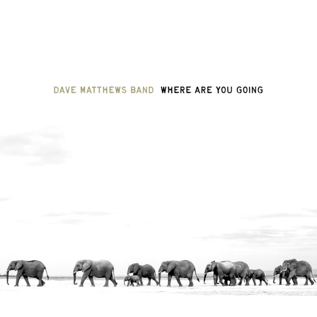Dave Band Matthews - Where Are You Going: The Singles (2LP) (Vinyl) (US Import)