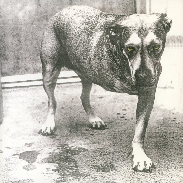 Alice In Chains - Alice In Chains (2LP/Yellow Neon Vinyl) (Vinyl) (US Import)