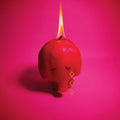Arcade Fire - Pink Elephant (Vinyl) (US Import)