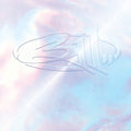 311 - 311 (30th Anniversary) (CD)