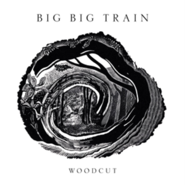 Big Big Train - Woodcut (2CD) (CD)