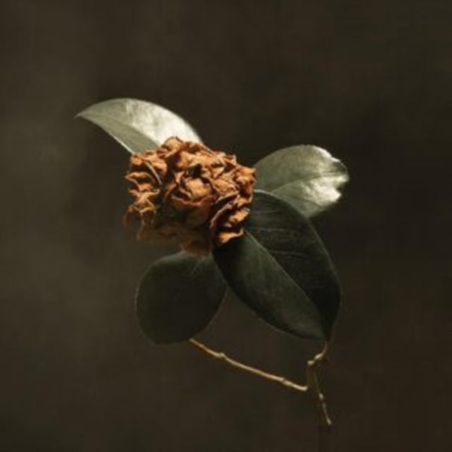 St. Paul & The Broken Bones - Young Sick Camellia (Vinyl) (US Import)