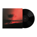 Joji - Piss In The Wind (Vinyl) (US Import)