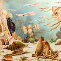 Chypho - Episodes In Oceanography (Vinyl) (US Import)