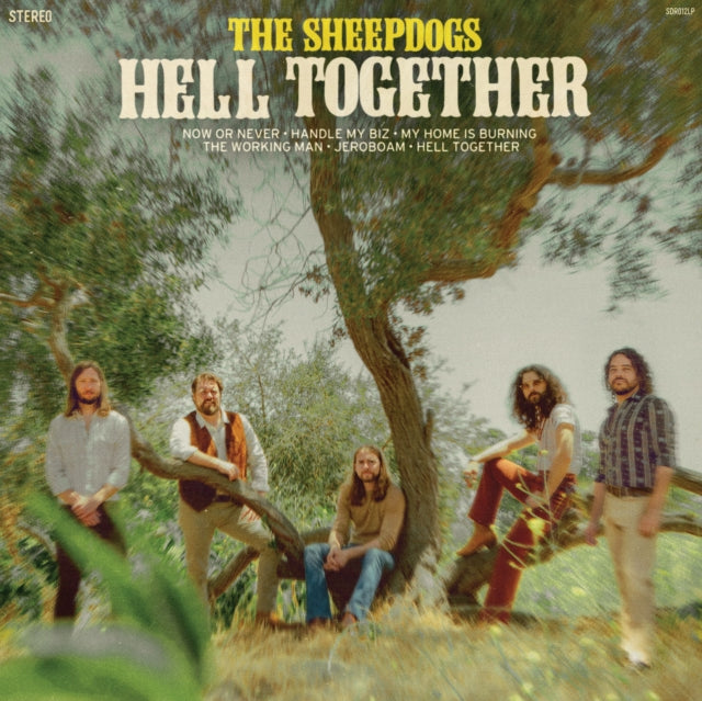 Sheepdogs - Hell Together (CD)
