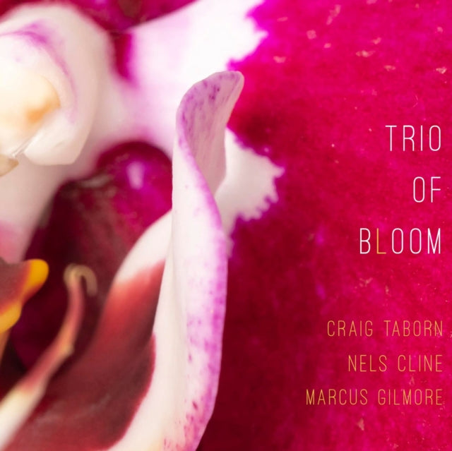 Trio Of Bloom - Trio Of Bloom (CD)