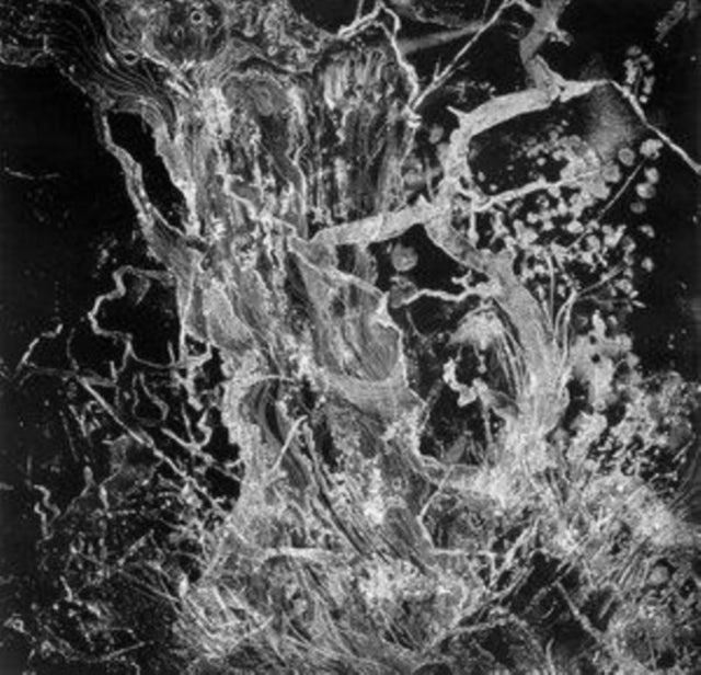 Bruit - Monolith (Vinyl) (US Import)