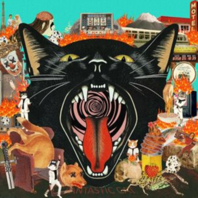 Fantastic Cat - Cat Out Of Hell (Vinyl) (US Import)