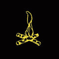 Frank Turner - Campfire Punkrock 20 (CD)