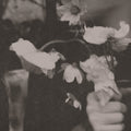 Needtobreathe - Long Surrender (CD)