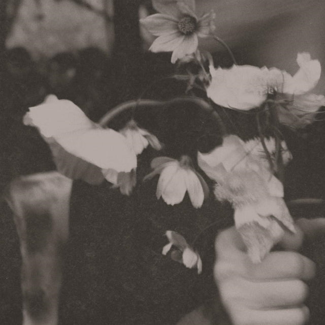 Needtobreathe - Long Surrender (CD)