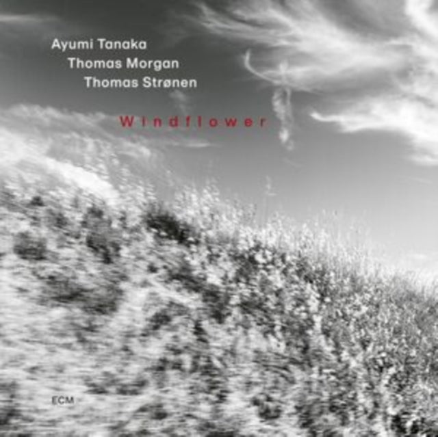 Ayumi Tanaka & Thomas Morgan & Thomas Stronen - Windflower (CD) (US Import)