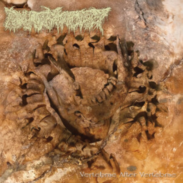 Pharmacist - Vertebrae After Vertebrae (Vinyl) (US Import)