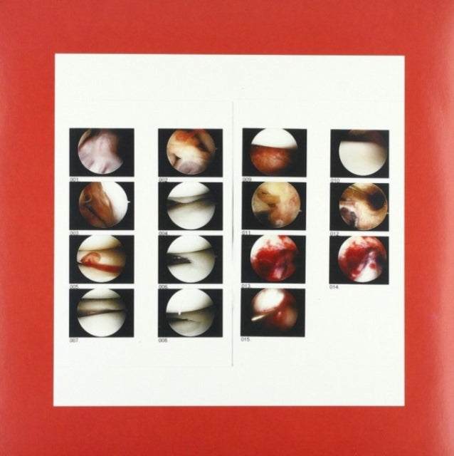 Cradle - Laughing In My Sleep (Coke Bottle Green Vinyl/DL Card) (Vinyl) (US Import)
