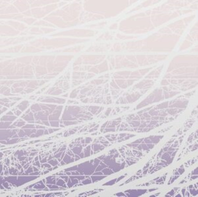 Lea Bertucci - Metal Aether / Resonant Field (2LP) (Vinyl) (US Import)