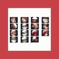 Cradle - Laughing In My Sleep (DL Card) (Vinyl) (US Import)